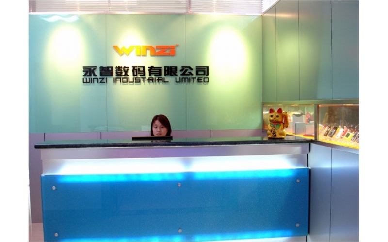 公司組織結(jié)構(gòu)圖，深圳市模具廠的最初結(jié)構(gòu)