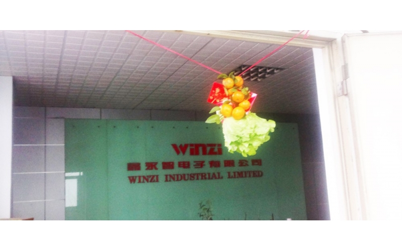 每年的翠海工業(yè)園都會(huì)有年初開(kāi)業(yè)舞獅表演